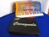 Cavagnolo Reedless wireless MIDI piano accordion